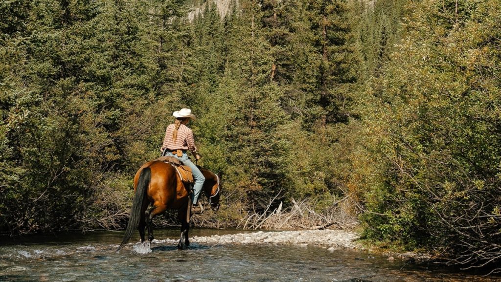 Trace the backcountry trails of Banff National Park on horseback