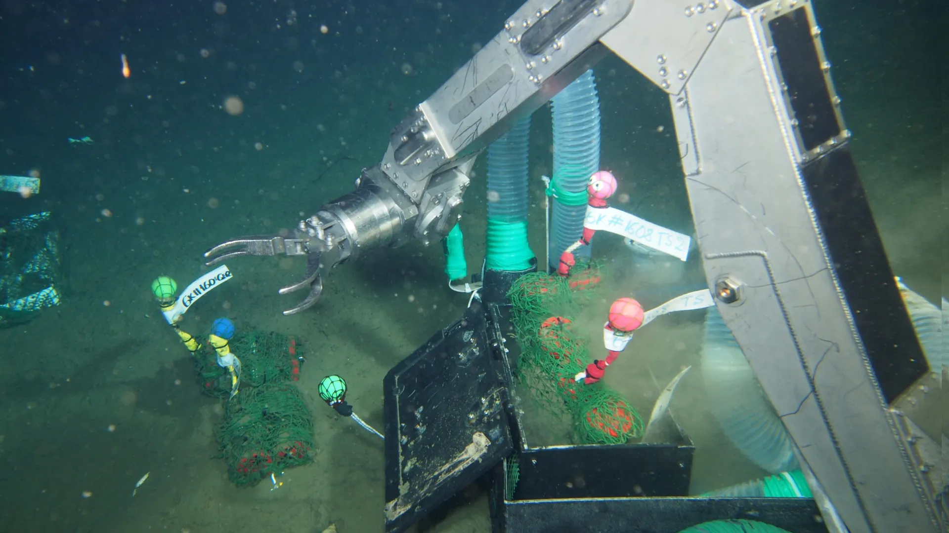 This plastic disappears in the deep sea—and microbes make it happen