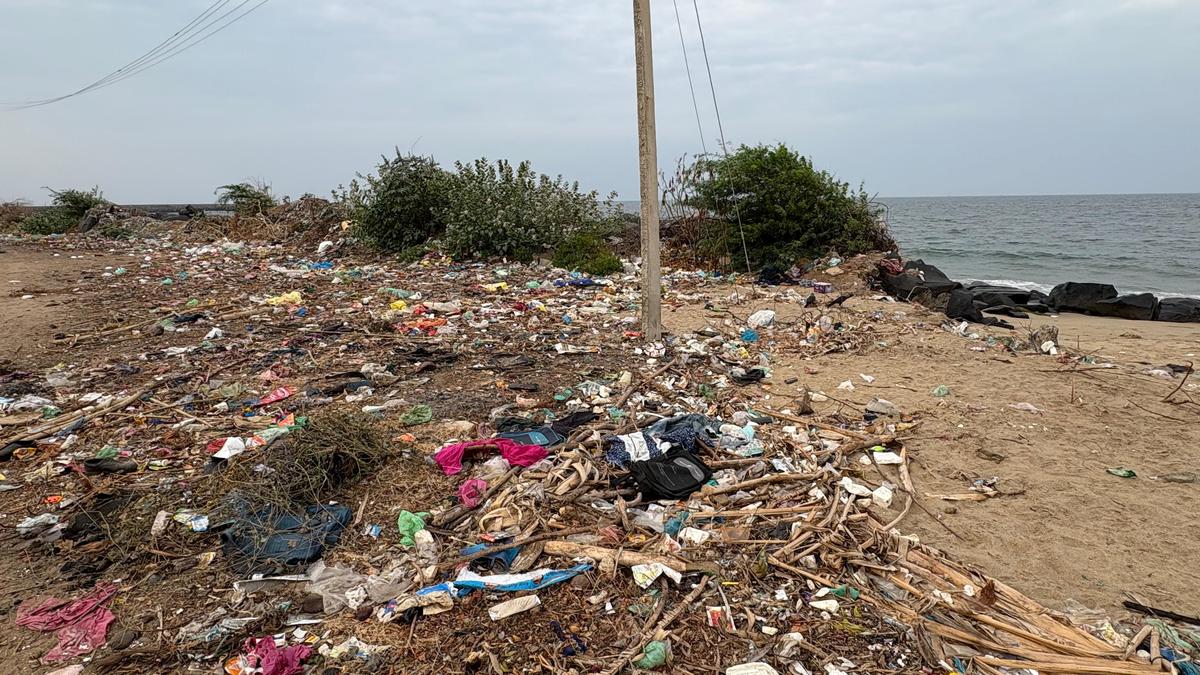 with-waste-disposal-system-absent,-historic-poompuhar-beach-turns-into-an-eyesore