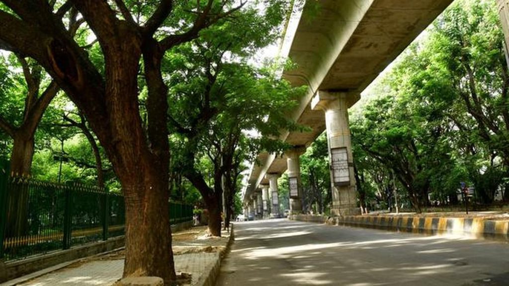 Bengaluru Resumes Tree Census After Six-Year Delay