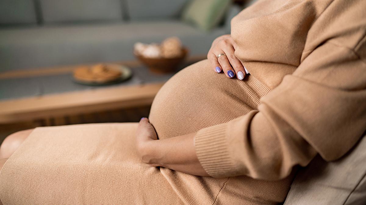 madras-high-court-steps-in-to-safeguard-twin-foetuses-of-surrogate-mother