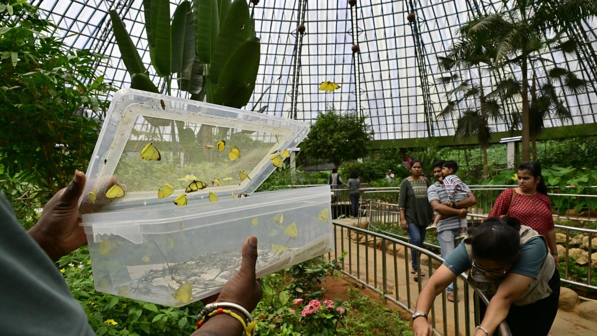 entry-fees-for-zoo-at-bannerghatta-biological-park-to-be-increased