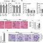 Signal boost uncovers hundreds of hidden binding partners for blood protein receptor