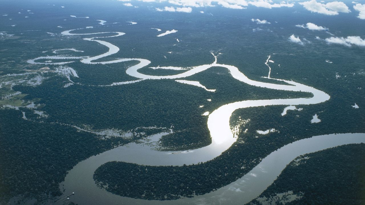 Even a slight slowdown of key Atlantic currents poses a ‘stunning risk’ to rainforests