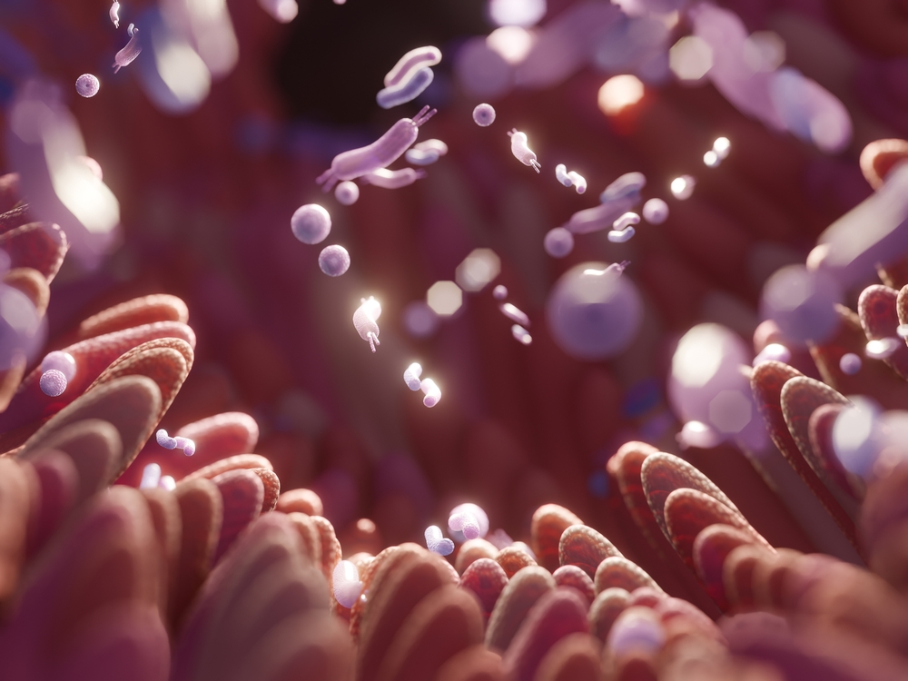 The Gut Microbiome: 100 Trillion Microorganisms in Our Digestive Tract Maintain Our Health