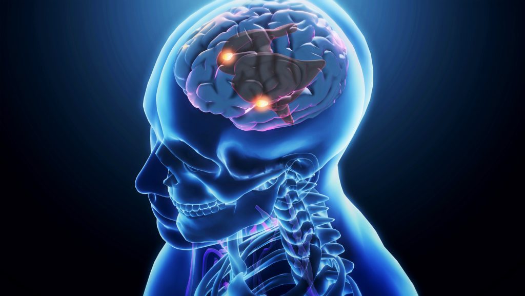 The Science Of ‘Mental Time Travel’ May Help Unlock The Human Mind