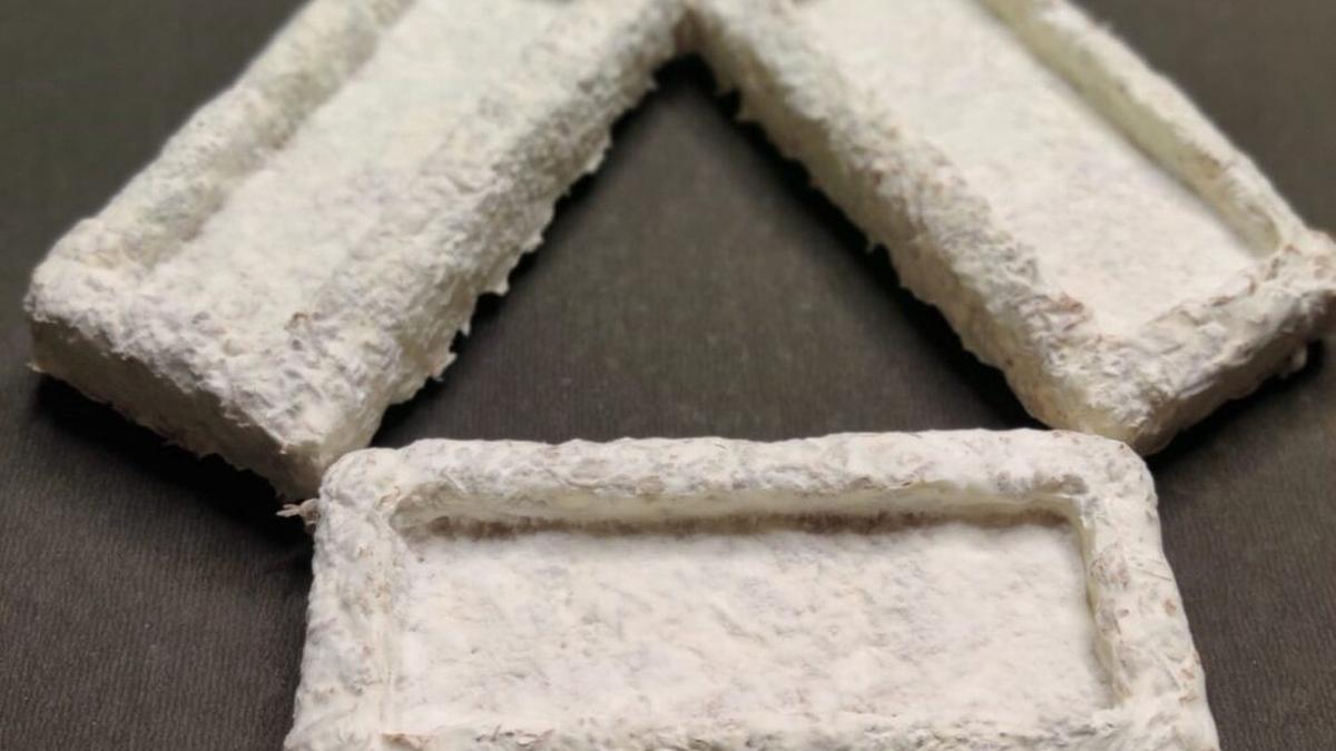 researchers-at-iit-madras-develop-agricultural-waste-based-packaging-material