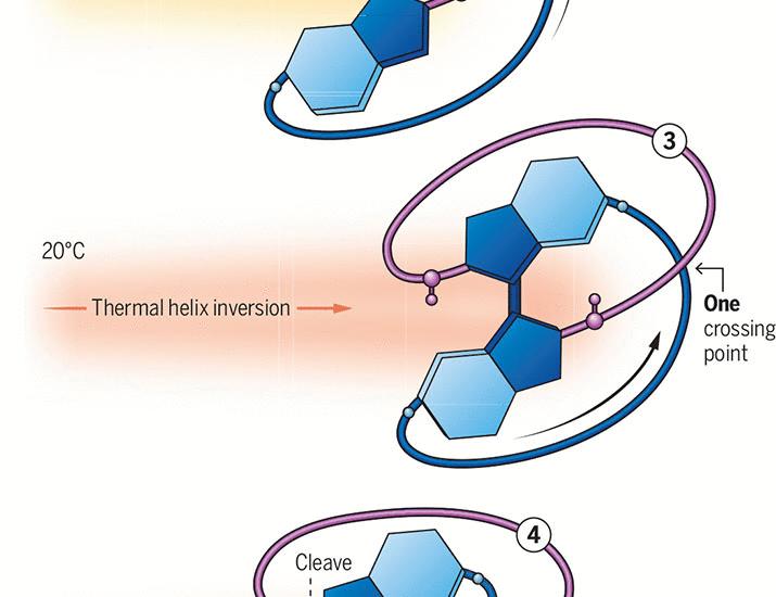 Entangling molecules with a tiny motor | Science