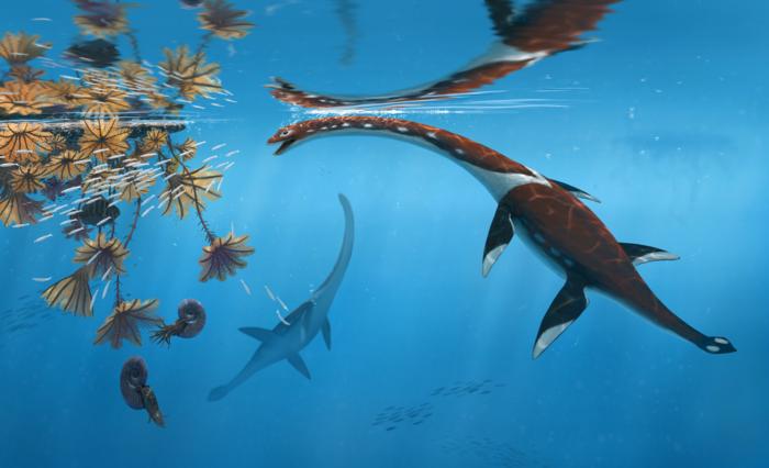New 183 Million-Year-Old Marine Reptile Identified in Germany Is Oldest Known in the Area