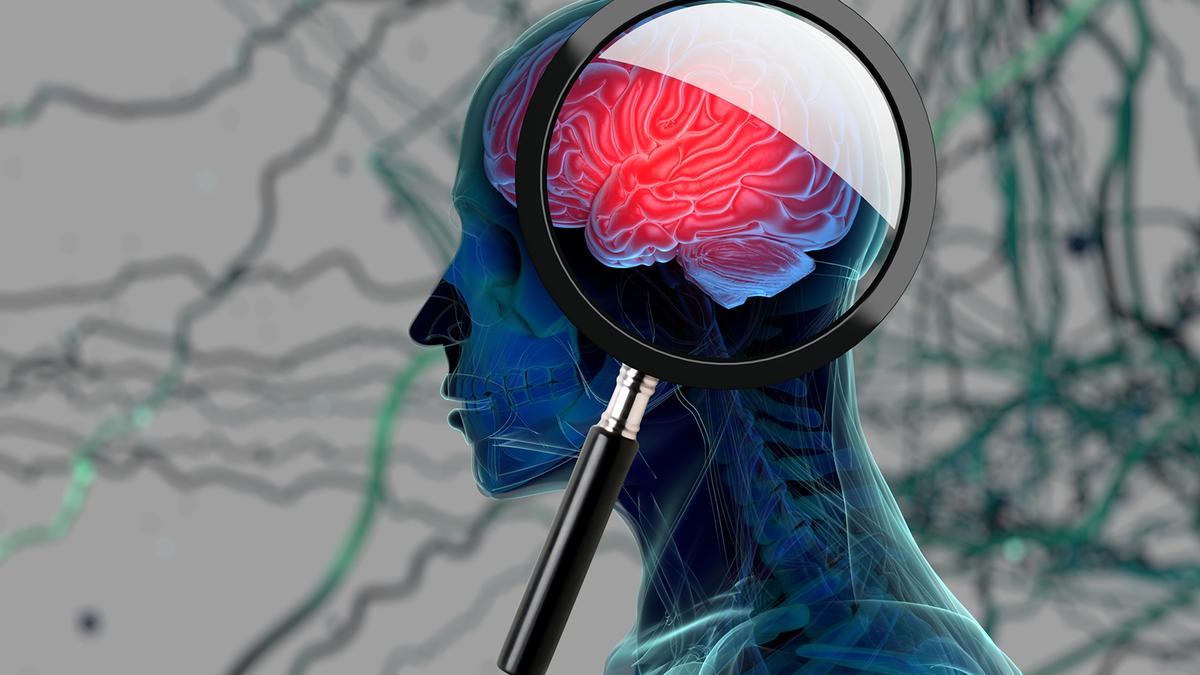 jncasr-research-holds-promise-for-curing-alzheimer’s-disease