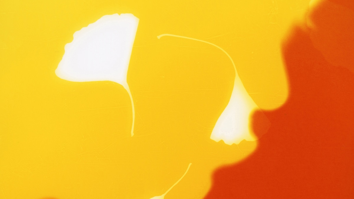Finding light in Hiroshima’s legacy