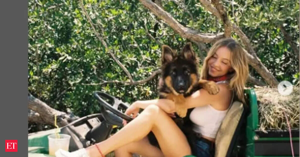 ‘Swastika Sweeney’: Sydney Sweeney’s German Shepherd now called a Nazi pet amid American Eagle controversy