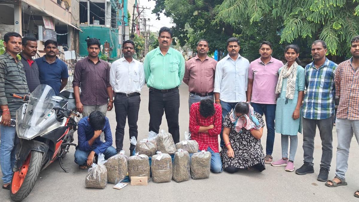 over-13-kg-ganja,-mdma-seized-across-raids-in-hyderabad,-six-arrested