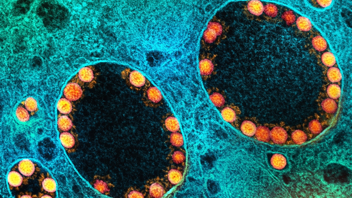 How a simple cold could bring cancer back