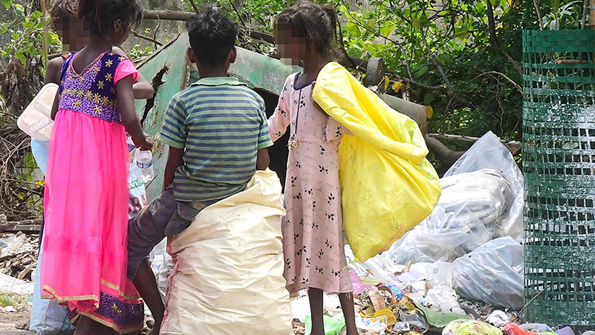 sharp-drop-in-child-labour-cases-in-andhra-pradesh,-say-officials