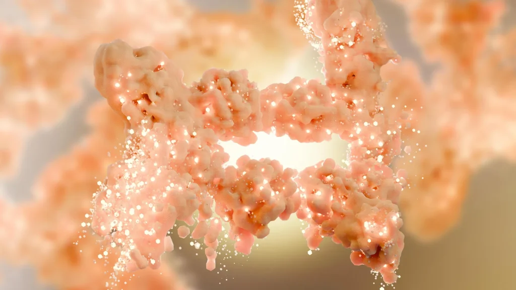 Scientists discover amino acid switch that turns fat into a calorie-burning furnace