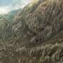Landslide risk doesn’t always rise after a wildfire, Columbia River Gorge study finds