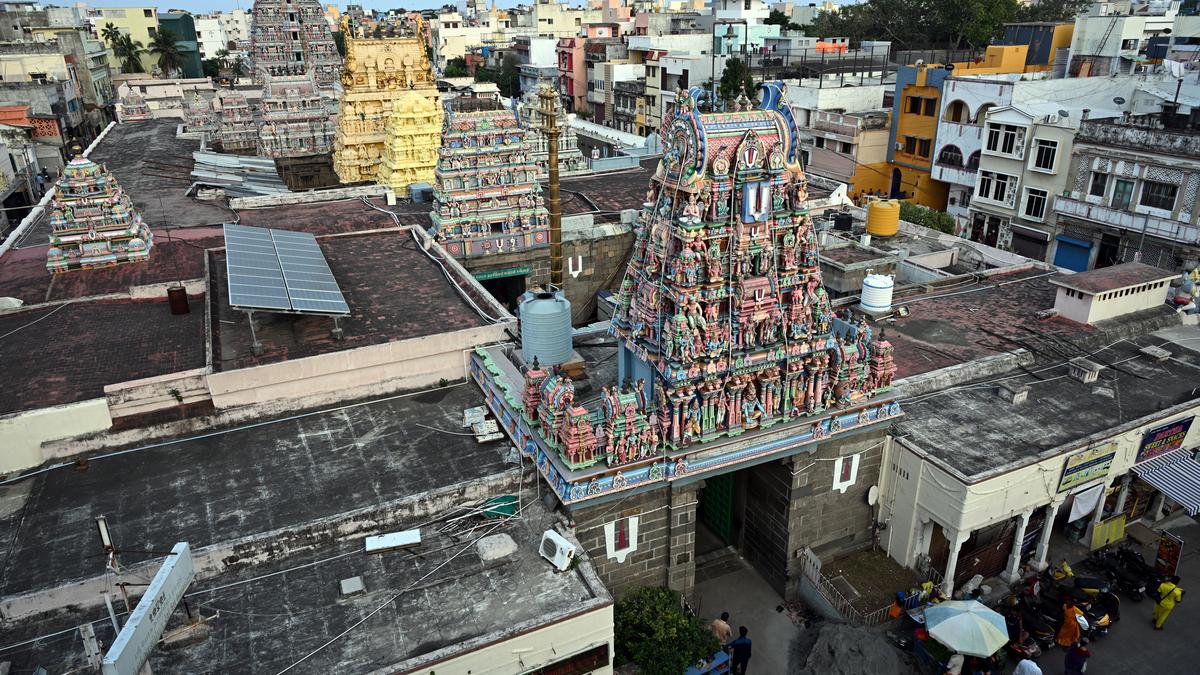 jyeshtabhishekam-of-sri-parthasarathi-perumal-temple-postponed-over-damage-to-bhoodevi-thaayar-idol