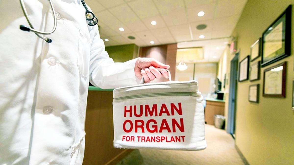 committee-favours-cancellation-of-kidney-transplant-licences-of-two-hospitals