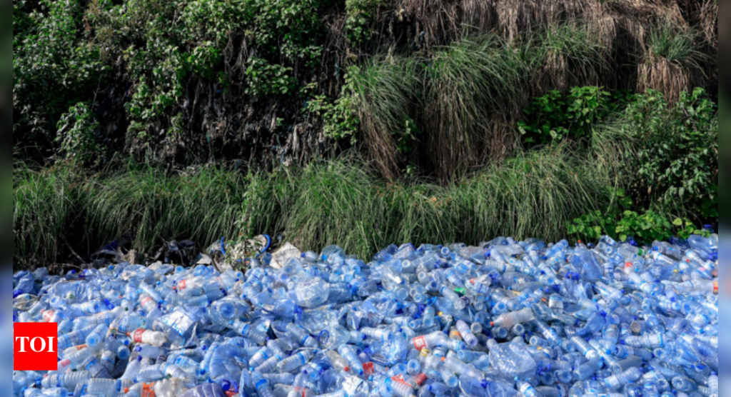 Momentum sagging at UN plastic pollution treaty talks