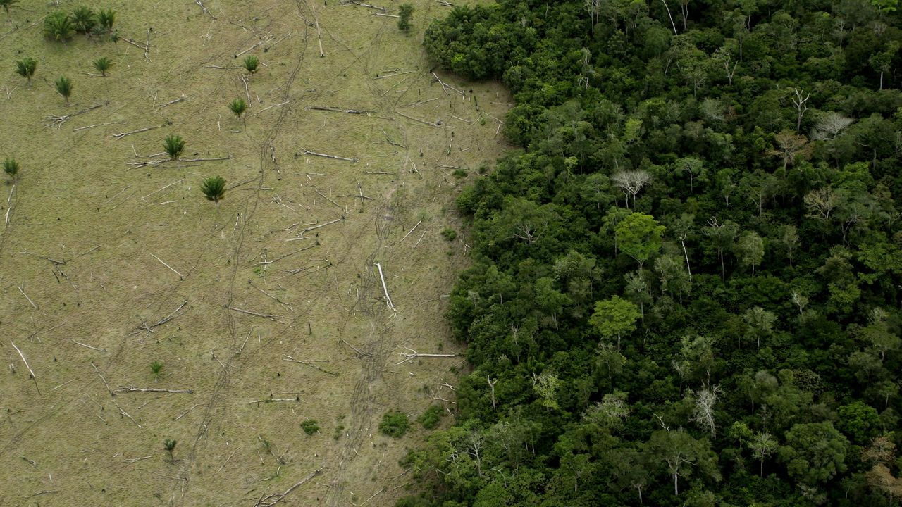 Amazon rainforest is approaching ‘tipping points’ that could transform it into a drier savanna