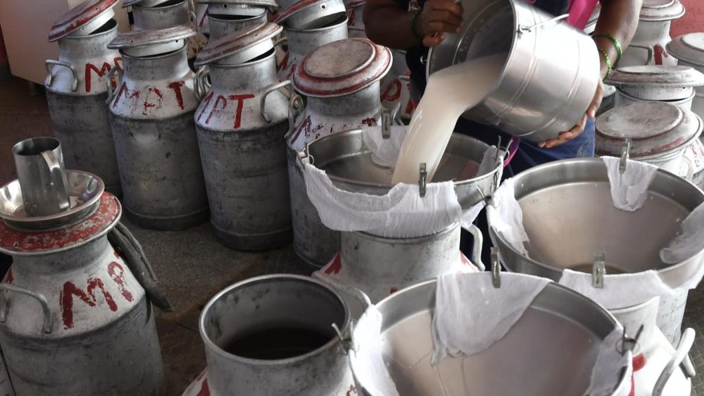 India Achieves 239.30 Million Tonnes in Milk Production: Centre