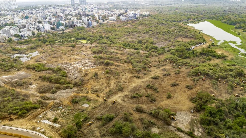 Supreme Court Urges Telangana Government to Replant Trees in Kancha Gachibowli
