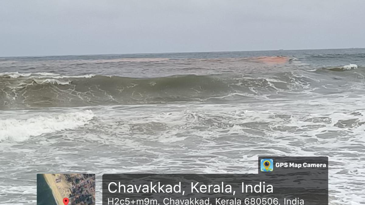 researchers-find-algae-bloom-along-north-and-central-kerala-coasts