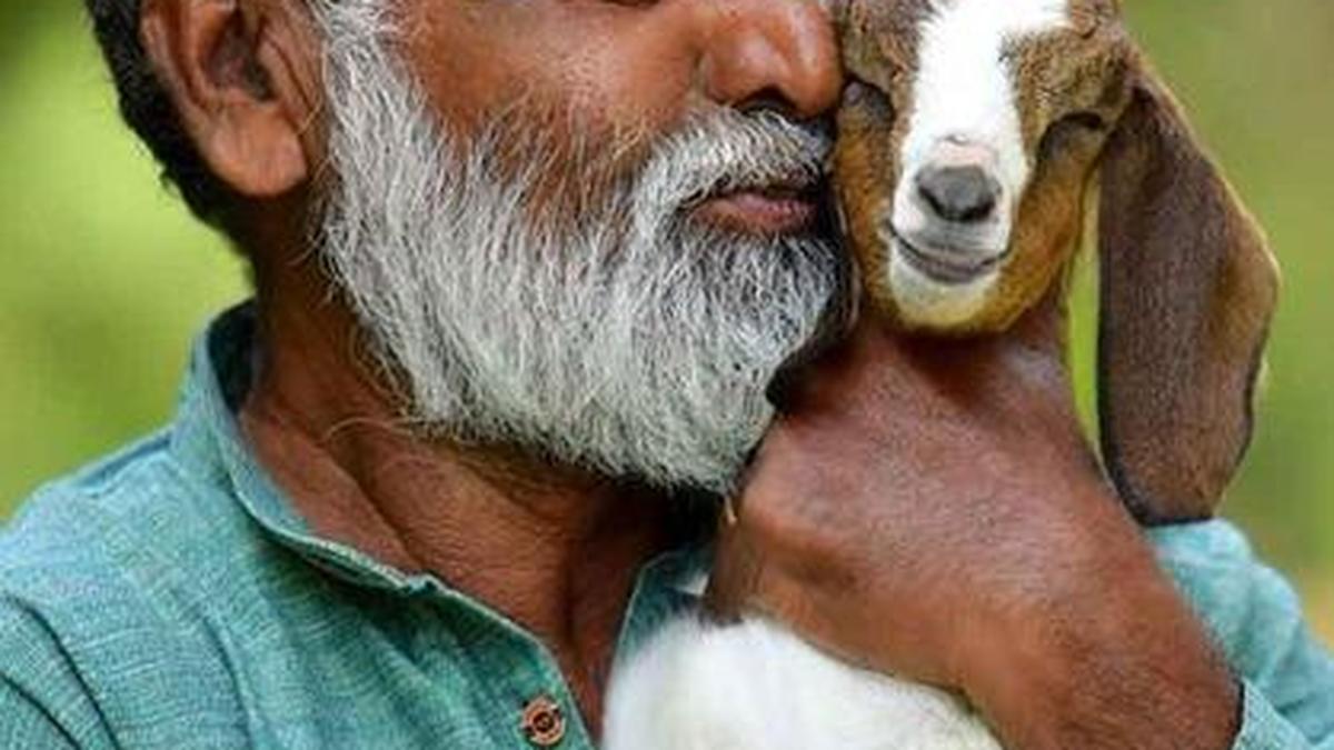 young-farmers-should-not-ignore-role-of-marketing-in-farm-success,-says-scaria-pillai-cj.,-winner-of-the-2024-sibi-kallingal-karshakothama-award