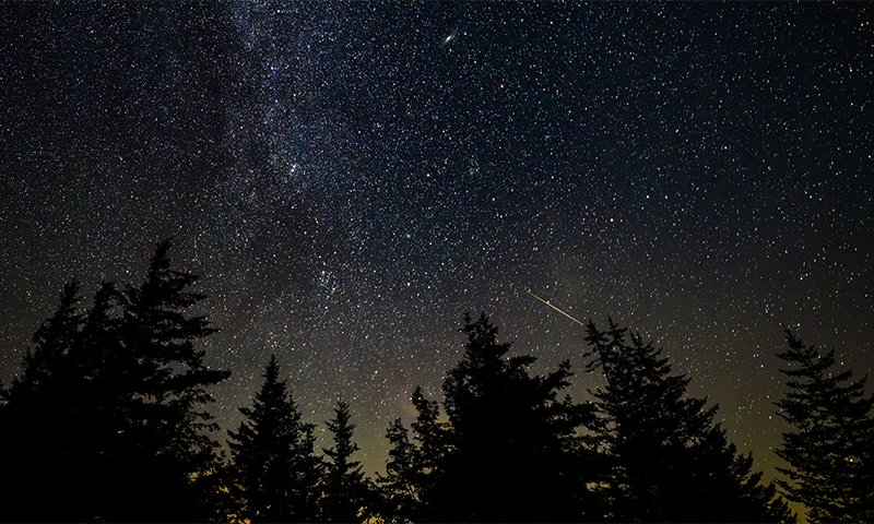 First Views of the Perseid Meteor Shower