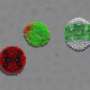 Study finds viruses rely on diverse RNA traits to pack their genomes with precision