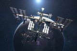 Space Mice Babies Born From Frozen Stem Cells Give Hope for Human Fertility in the Cosmos