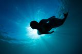 Early Accounts of Whales and Manatees May Have Inspired Mermaid Folklore