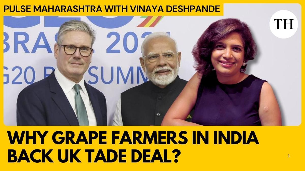 watch:-why-are-marginal-farmers-in-india’s-grape-capital-rejoicing-about-uk-fta?