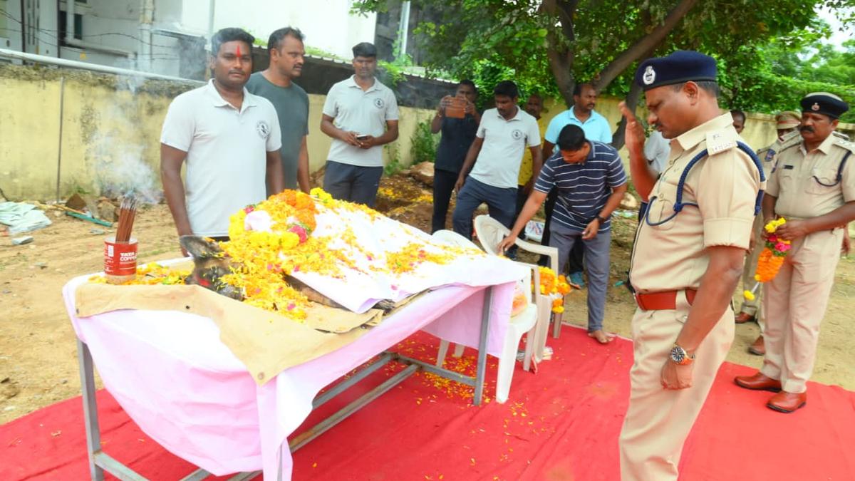 funeral-with-police-honours-for-pinky,-the-four-legged-sleuth-of-nalgonda-district