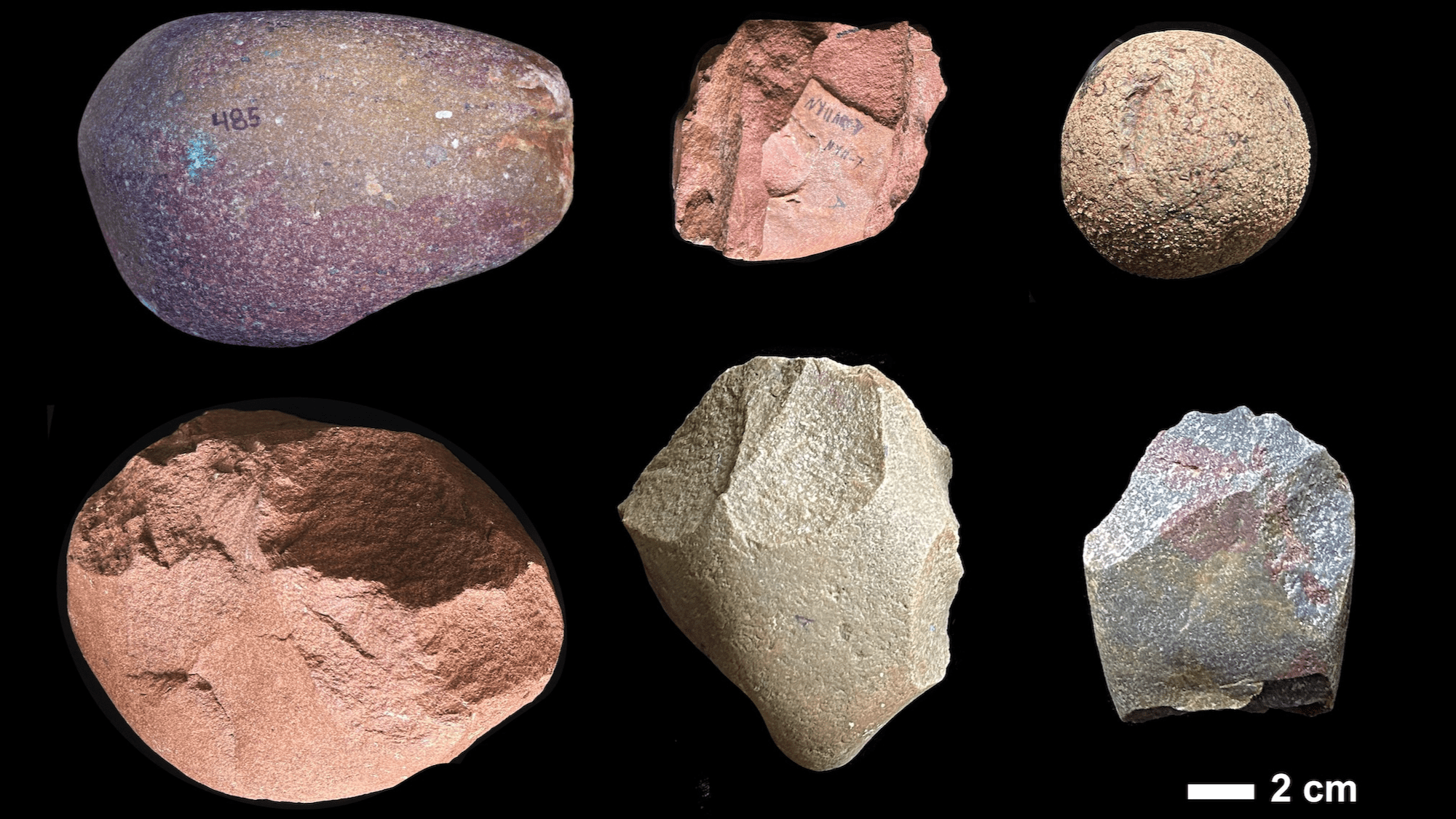 Stone Age humans traveled for miles to find the perfect rocks