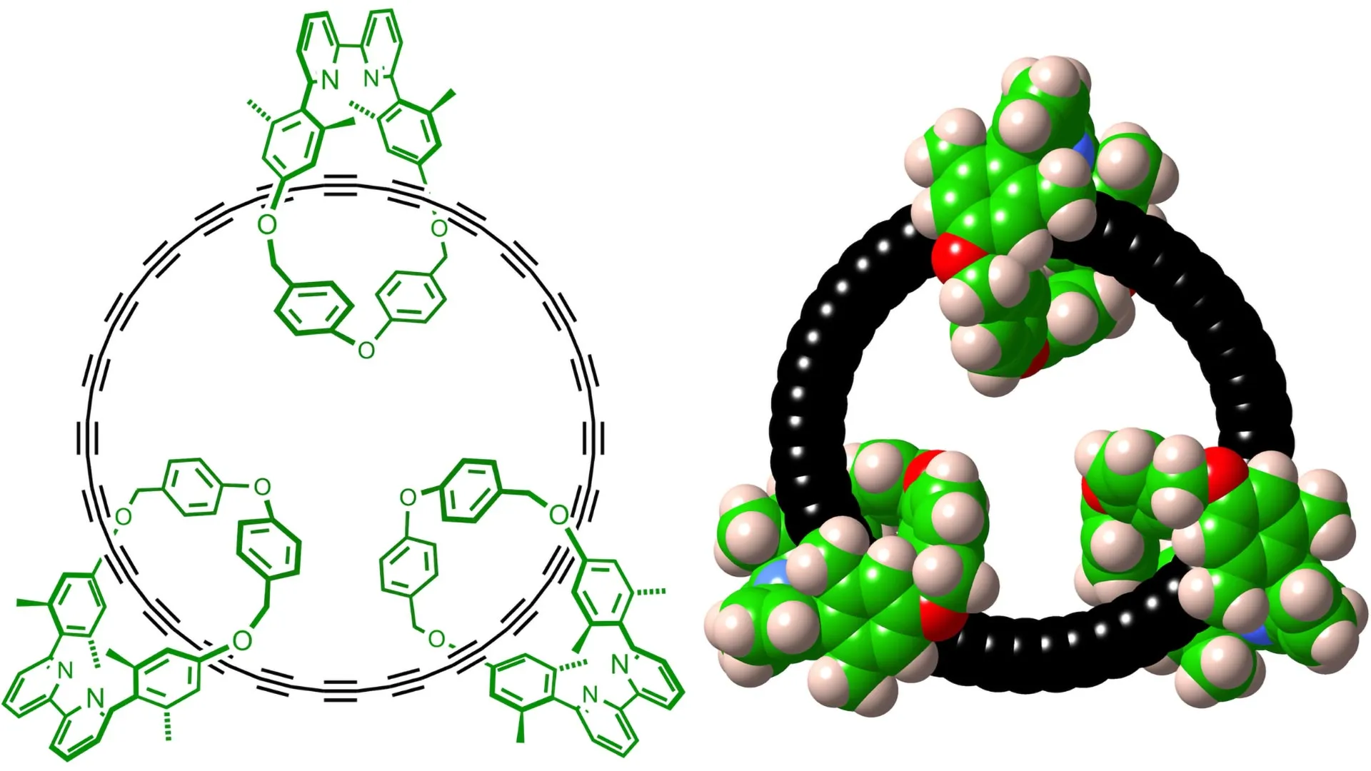 Scientists finally tame the impossible 48-atom carbon ring