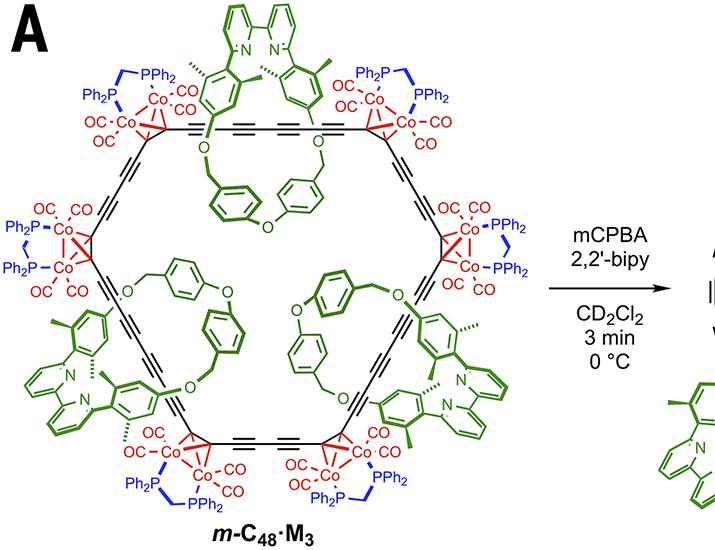 Solution-phase stabilization of a cyclocarbon by catenane formation | Science