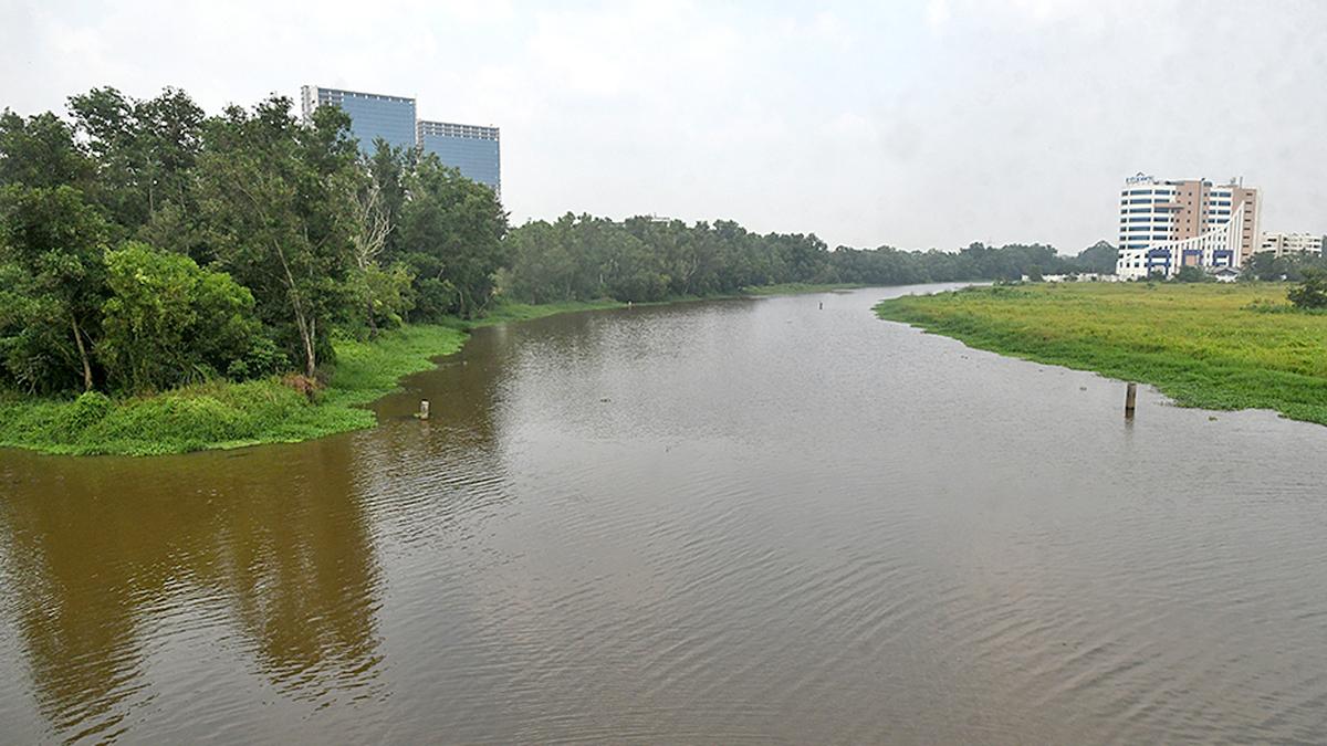 concern-over-depleting-oxygen-levels-in-kadambrayar