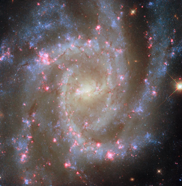 Hubble Space Telescope Captures New Image of NGC 2835