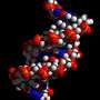 Researchers glimpse the inner workings of protein language models
