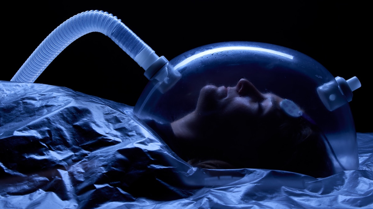 Could humans hibernate? How scientists are racing to unlock a sci-fi superpower.