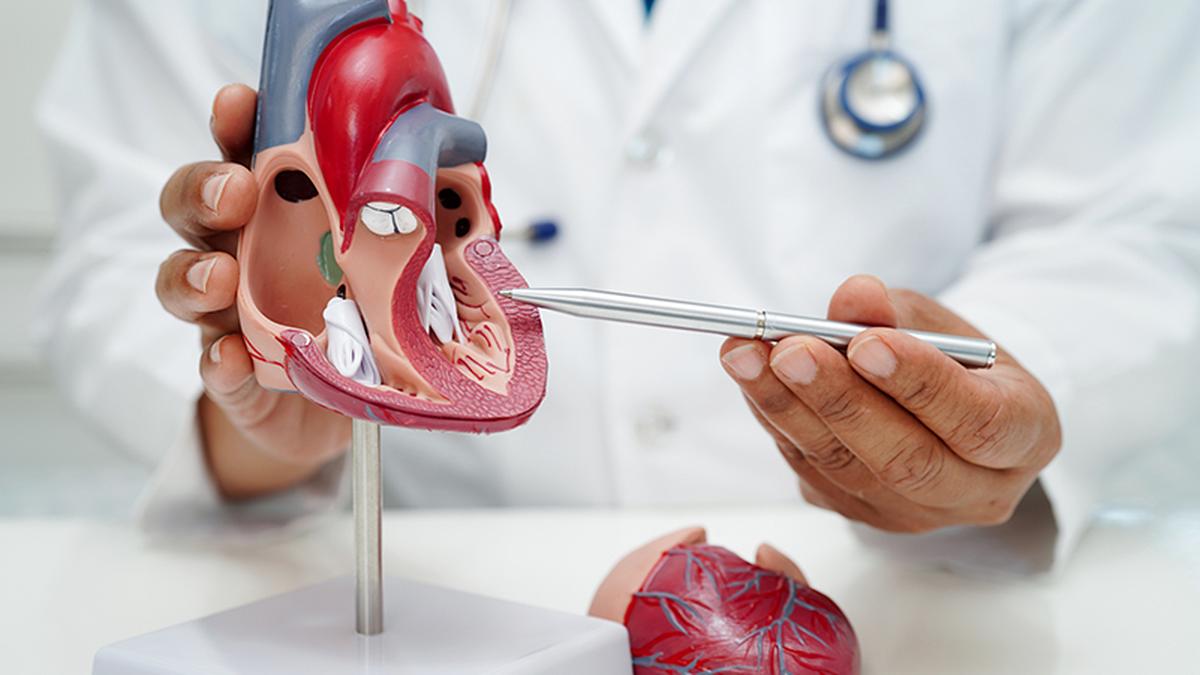shortage-of-cardiothoracic-surgeons-ails-government-hospitals-in-tn.