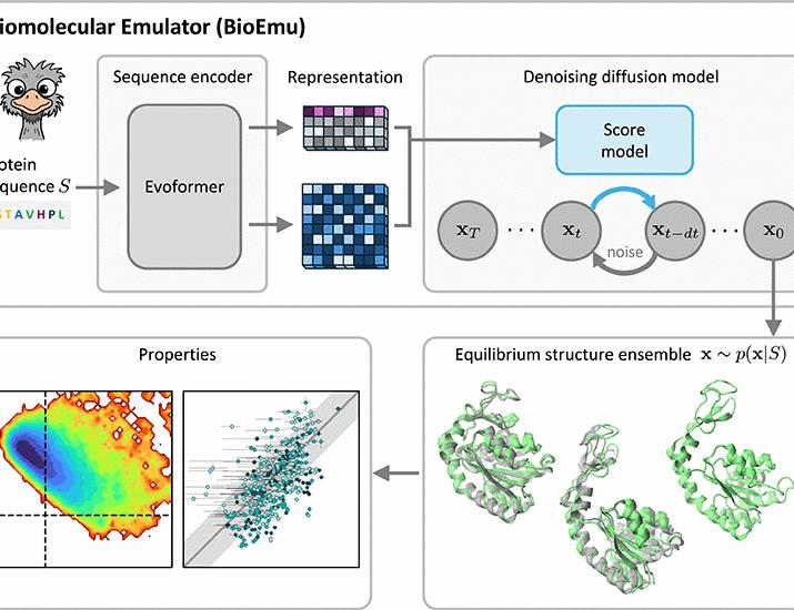 Scalable emulation of protein equilibrium ensembles with generative deep learning | Science