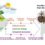 Earth system models project start of Amazon dieback within 21st century