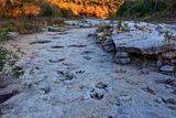 115-Million-Year-Old Dinosaur Footprints Unearthed by Recent Floodwaters