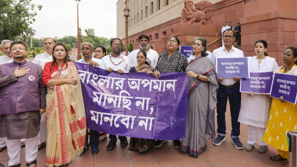 Trinamool MPs allege they were manhandled in Lok Sabha