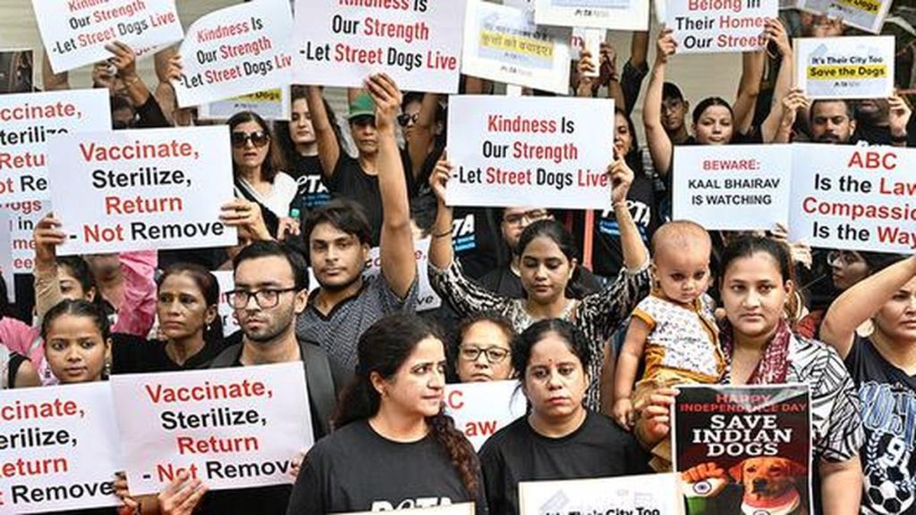 Supreme Court Permits Release of Stray Dogs in Delhi After Immunisation