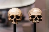 An Important Gene Inherited From Denisovans Helped Modern Humans Survive and Spread