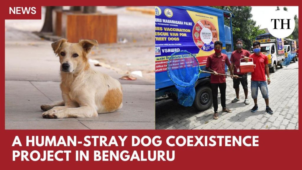How is Bengaluru planning to handle stray dogs?